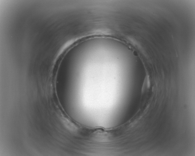 X0000082201168200701270110