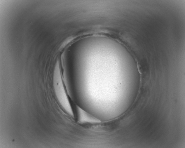 X0000082201169200701270110