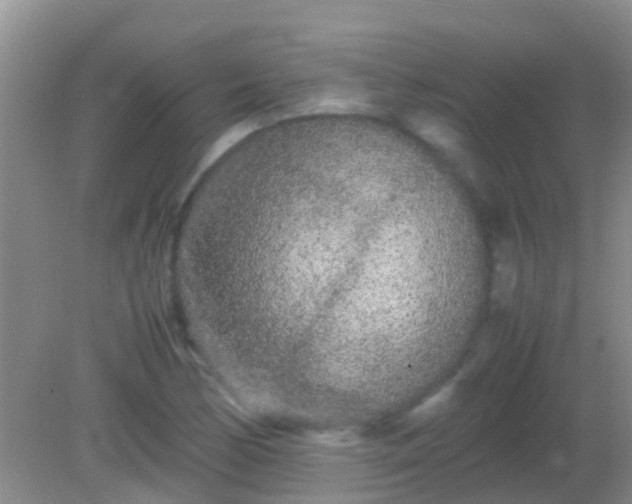 X0000082201170200701270110