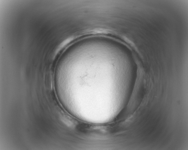 X0000082201171200701270110