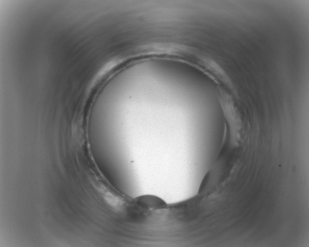 X0000082201172200701270110