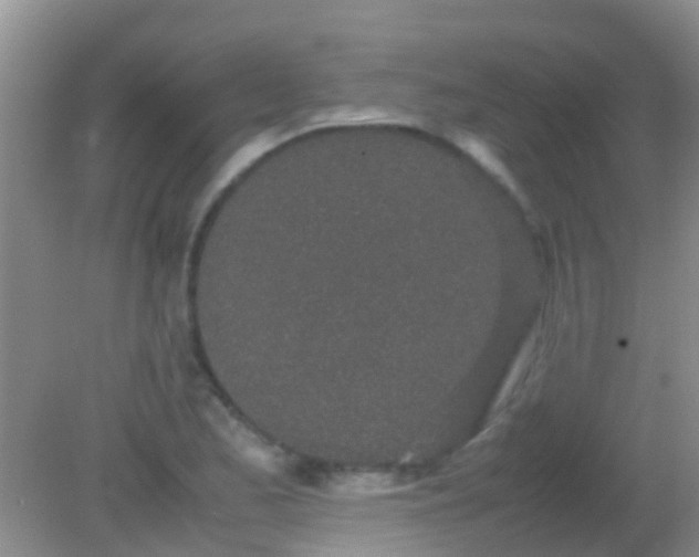 X0000082201173200701270110