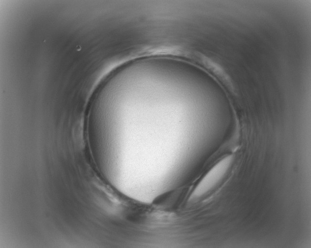 X0000082201174200701270110