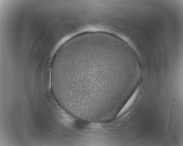 X0000082201175200701270110