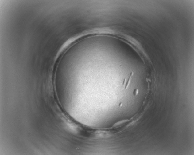 X0000082201176200701270110