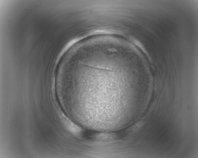 X0000082201179200701270110