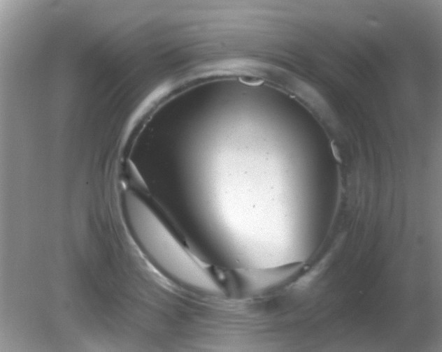 X0000082201180200701270110