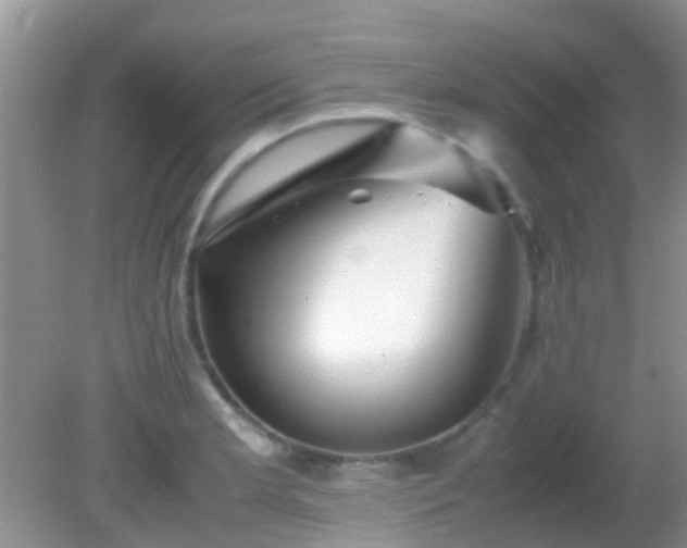 X0000082201181200701270110