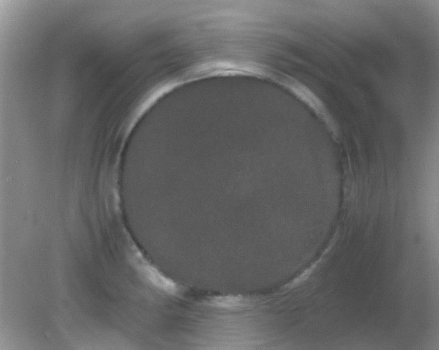 X0000082201182200701270110