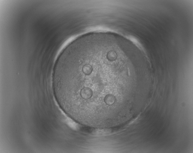 X0000082201183200701270110