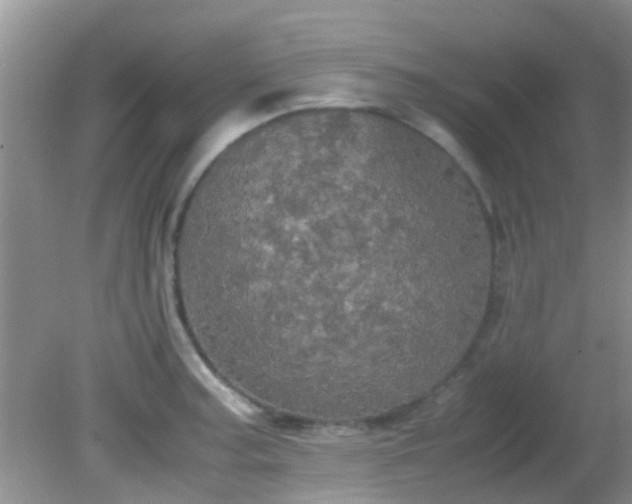 X0000082201187200701270110