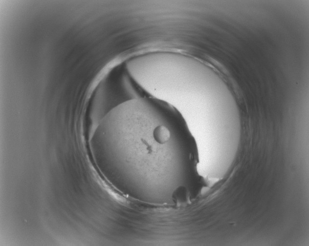 X0000082201188200701270110