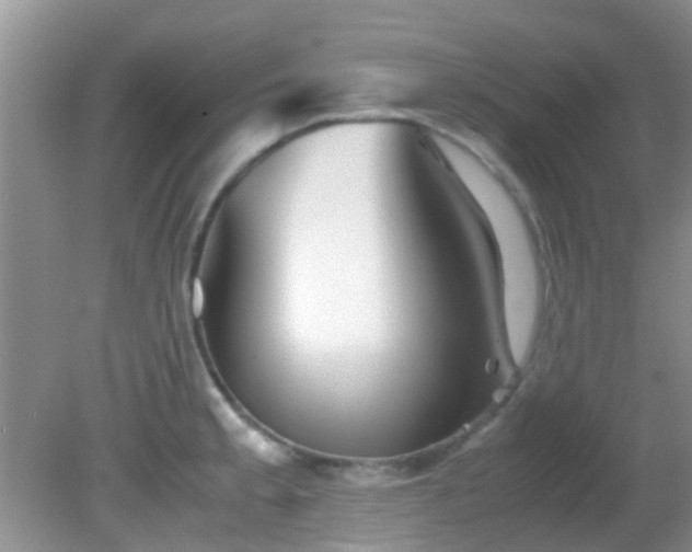 X0000082201189200701270110