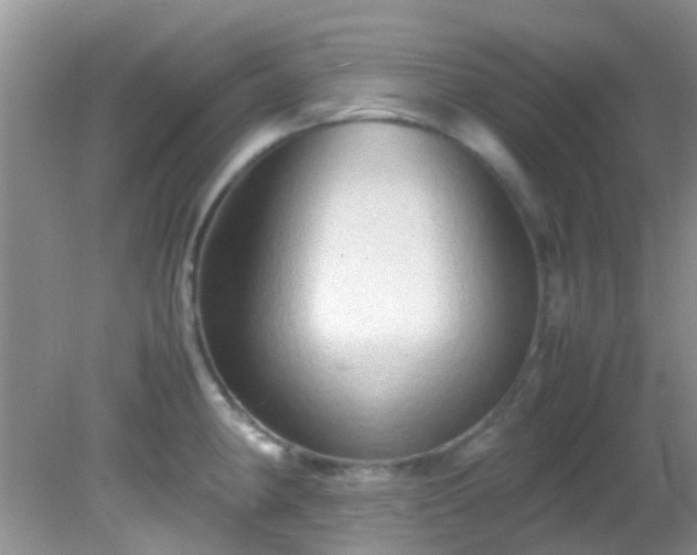 X0000082201190200701270110