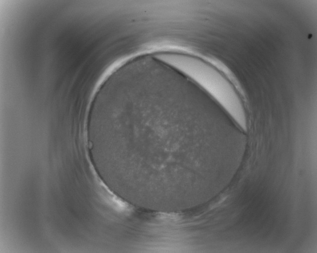 X0000082201191200701270110