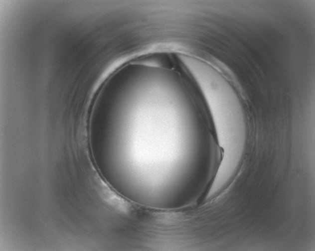 X0000082201192200701270110