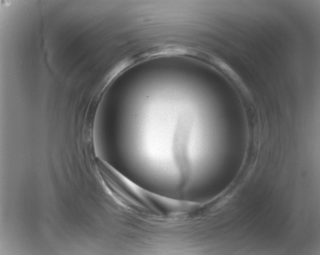 X0000082201193200701270110