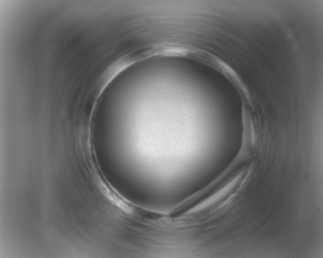 X0000082201194200701270110