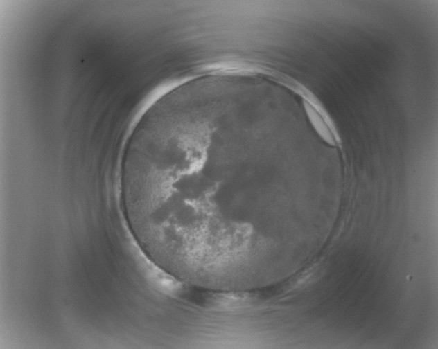 X0000082201195200701270110