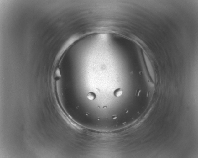 X0000082201196200701270110