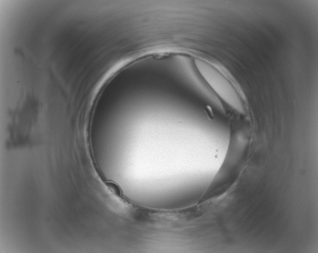 X0000082201197200701270110