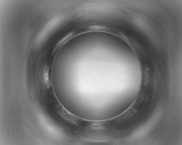 X0000082201198200701270110