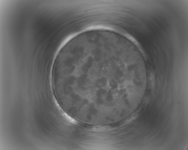 X0000082201199200701270110