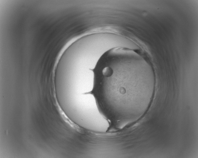 X0000082201200200701270110