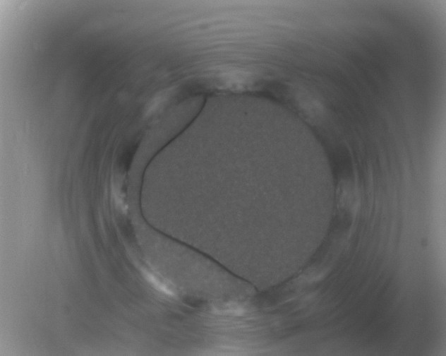 X0000082201202200701270109