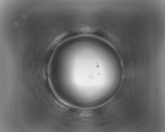 X0000082201205200701270109