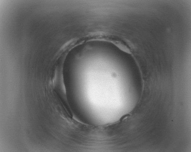 X0000082201206200701270109