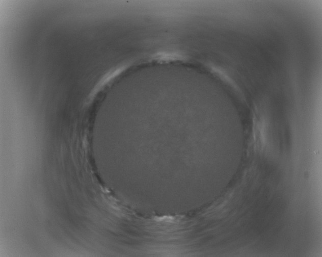 X0000082201207200701270109