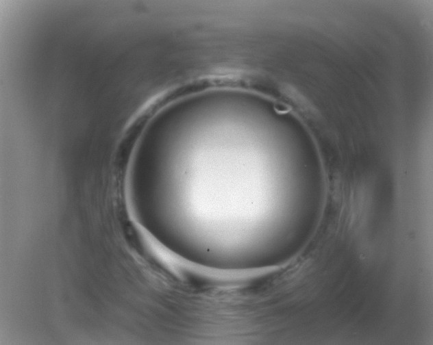 X0000082201208200701270109