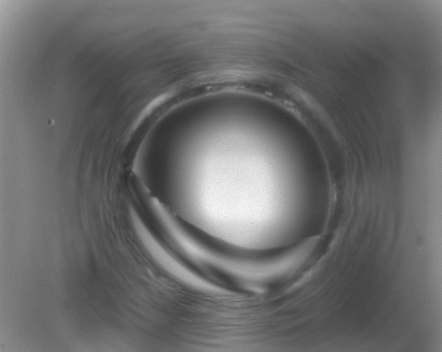 X0000082201210200701270109