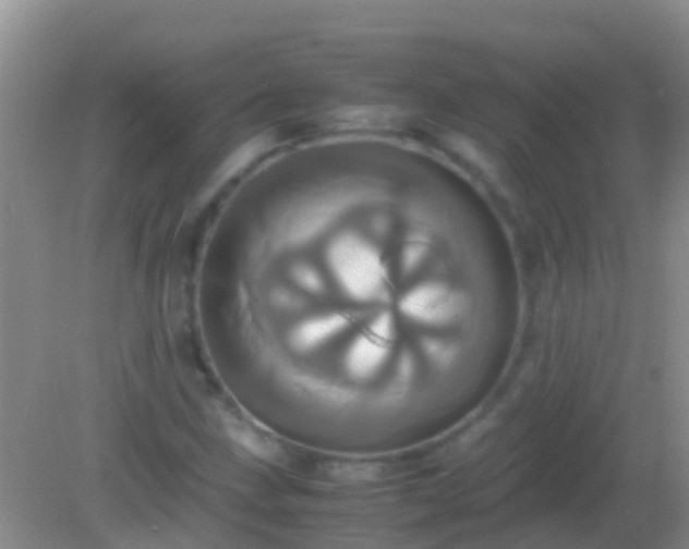 X0000082201211200701270109