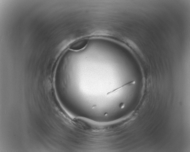 X0000082201212200701270109