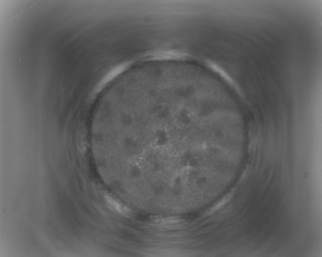 X0000082201213200701270109