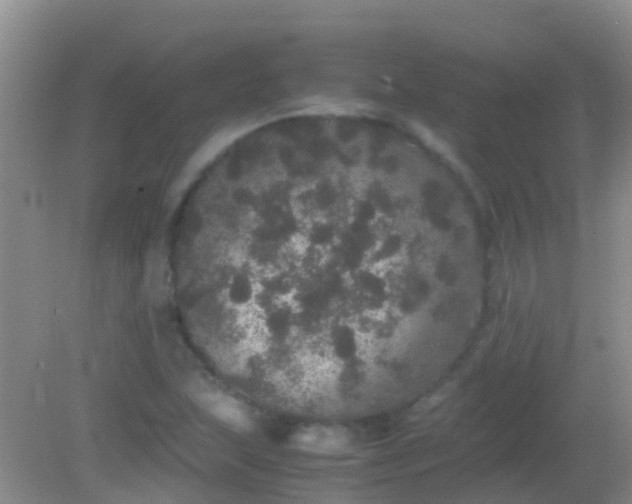 X0000082201215200701270109