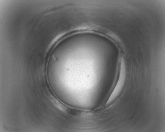 X0000082201216200701270109