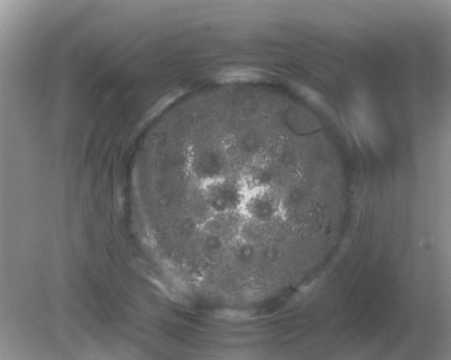 X0000082201217200701270109