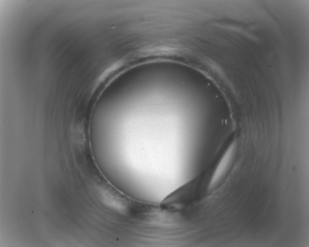 X0000082201218200701270109