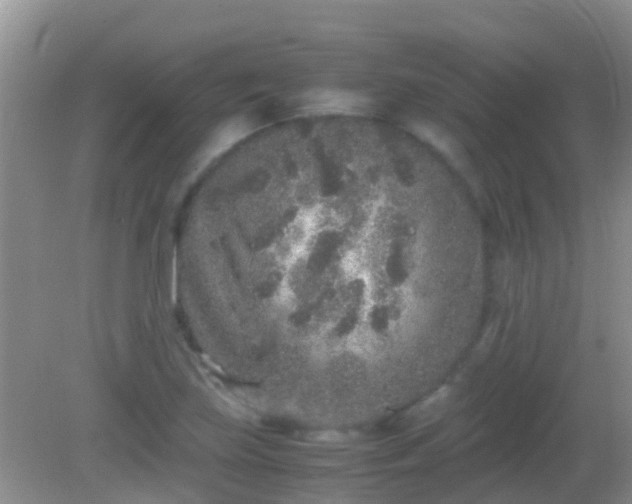 X0000082201219200701270109