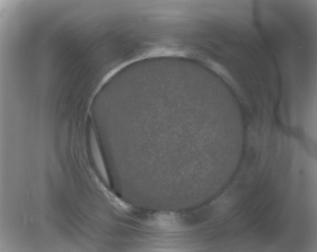 X0000082201220200701270109