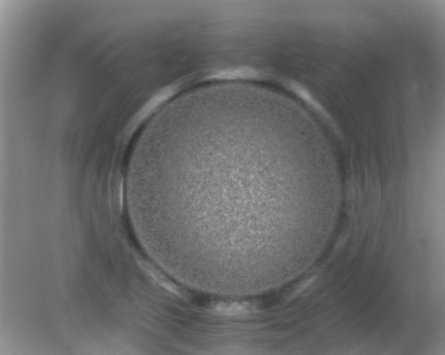 X0000082201221200701270109