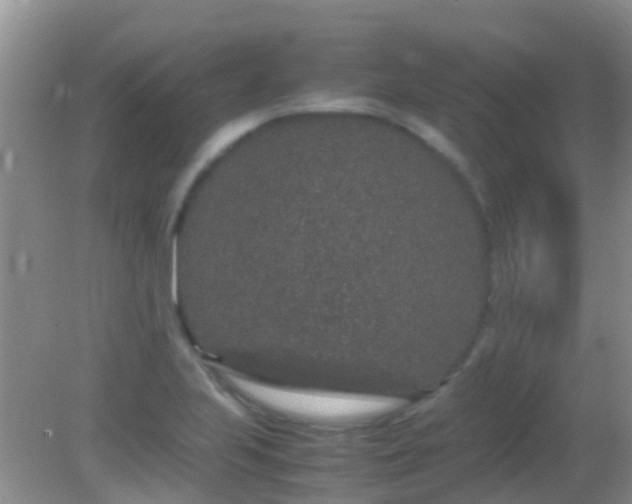 X0000082201223200701270109