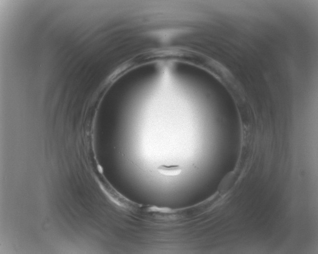 X0000082201225200701270110