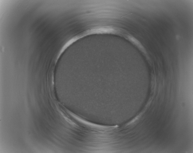 X0000082201226200701270110