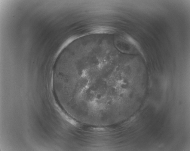 X0000082201227200701270110