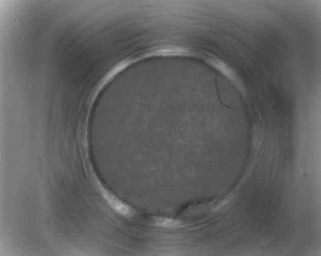 X0000082201229200701270110