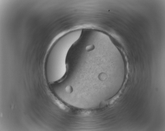 X0000082201230200701270110